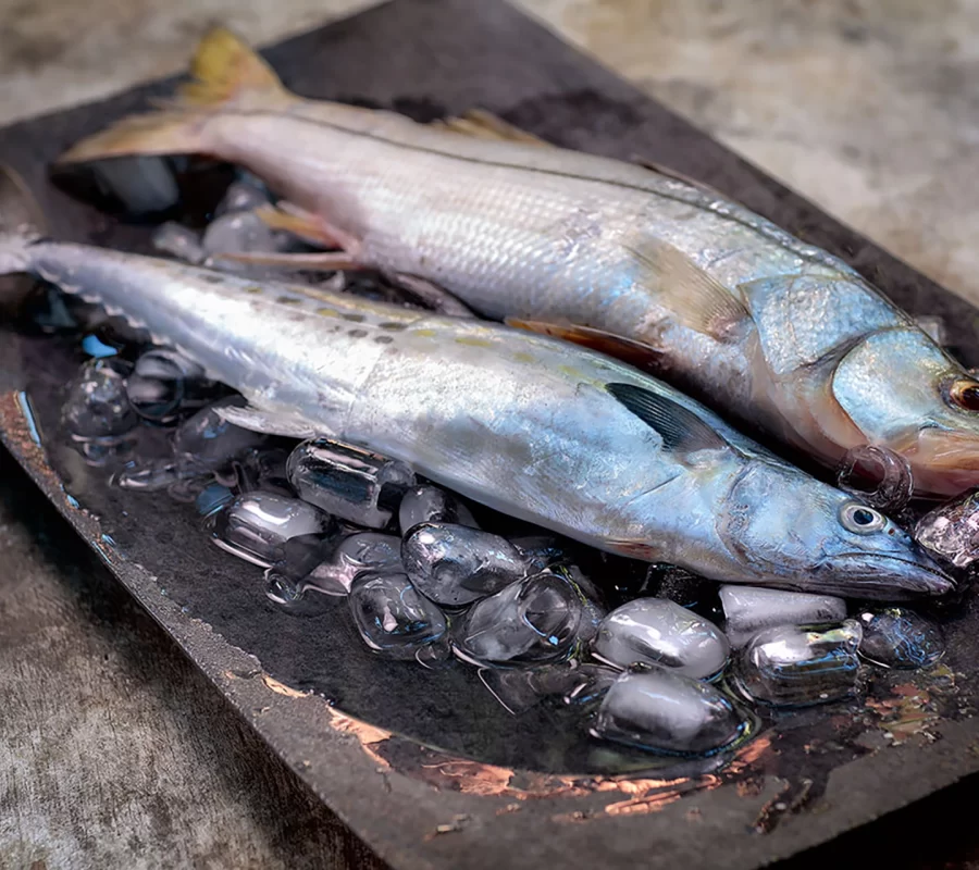 Restaurante Jericoacoara