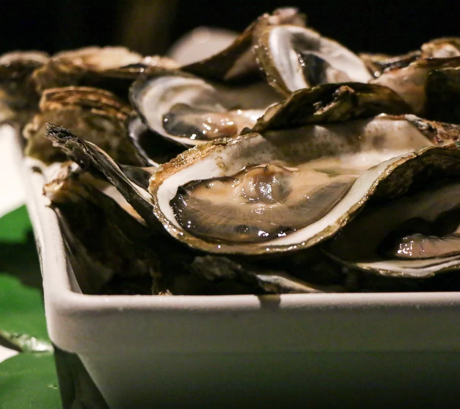 Restaurante Jericoacoara